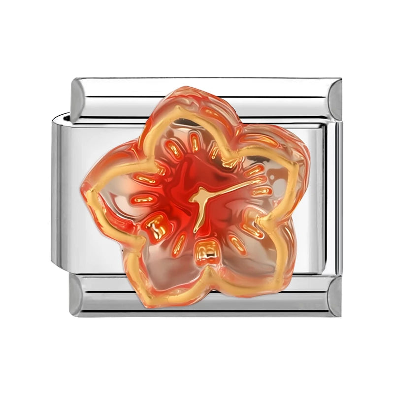 𝙄𝙩𝙖𝙡𝙞𝙖𝙣 𝙗𝙧𝙖𝙘𝙚𝙡𝙚𝙩𝙨